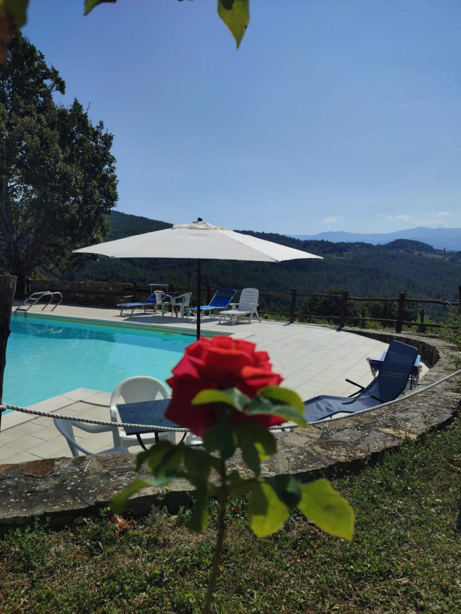 Casa Vacanze Fattoria Il Cerro Pianelleto Exterior foto